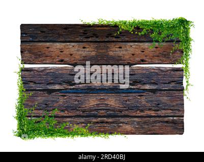 Fond de cadre de planche antique brun foncé avec des feuilles tropicales et des vignes grimpantes sur le bord de la planche. Banque D'Images