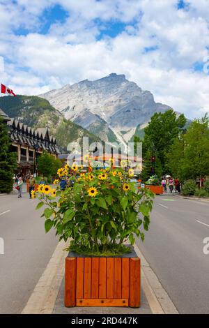 BANFF, CANADA - 5 JUILLET 2023 : site urbain de Banff dans le parc national Banff avec Cascade Mountain en arrière-plan. Le site urbain est une tournée canadienne majeure Banque D'Images