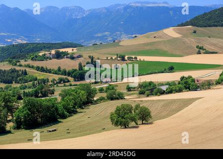 Campagne près de Saint-Jean-d'Herans Trieves région Grenoble Isère Auvergne-Rhone-Alpes France Banque D'Images