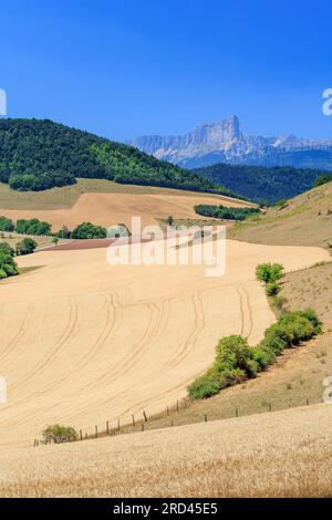 Campagne près de Saint-Jean-d'Herans Trieves région Grenoble Isère Auvergne-Rhone-Alpes France Banque D'Images