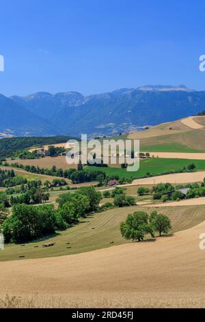 Campagne près de Saint-Jean-d'Herans Trieves région Grenoble Isère Auvergne-Rhone-Alpes France Banque D'Images