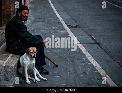 Vagabond et Beagle dans les rues d'Assise Italie Banque D'Images