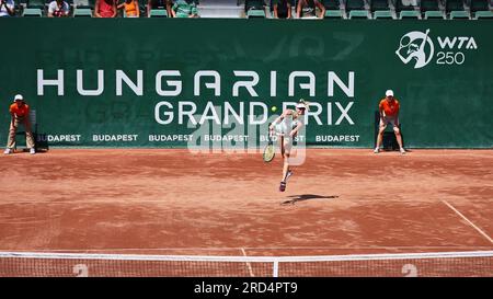 Budapest, Hongrie centrale, Hongrie. 18 juillet 2023. FANNY STOLLAR de Hongrie en action lors du GRAND PRIX DE HONGRIE - Budapest - Womens tennis, WTA250 (crédit image : © Mathias Schulz/ZUMA Press Wire) USAGE ÉDITORIAL SEULEMENT! Non destiné à UN USAGE commercial ! Crédit : ZUMA Press, Inc./Alamy Live News Banque D'Images