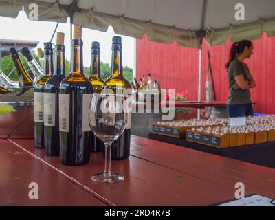 Sommelier et bouteilles de vin au Sugarloaf Mountain Vineyard, Frederick, Maryland, 3 juin 2023, © Katharine Andriotis Banque D'Images