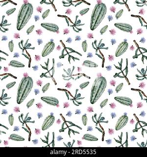 Motif floral sans couture avec des cactus et des cactus en fleurs. Impression aquarelle pour textile ou papier peint Banque D'Images