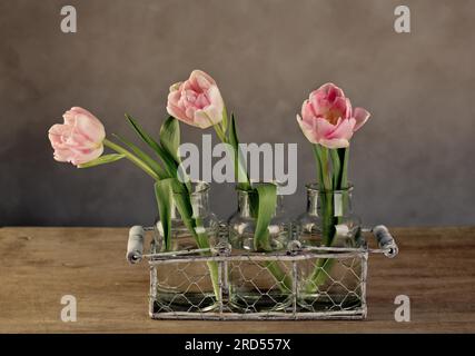 Trois délicates fleurs de tulipe rose dans de petits vases en verre avec panier de transport décoratif Banque D'Images