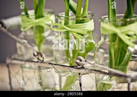 Trois délicates fleurs de tulipe rose dans de petits vases en verre avec panier de transport décoratif Banque D'Images