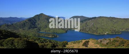 Vue imprenable depuis la piste Queen Charlotte. Itinéraire de trekking dans les Marlborough Sounds Banque D'Images