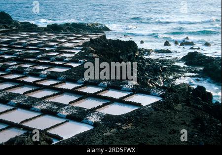 Salt Works, El Faro, la Palma, Îles Canaries, Espagne, extraction de sel, production de sel, sel, bassins de sel Banque D'Images