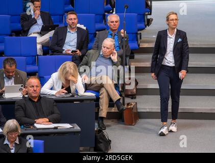 Dr Alice Weidel, à gauche, quatrième rangée : Dr Alexander Gauland, Allemagne, Berlin, 06.07.2023, Bundestag, Faction du Bundestag AfD, Europe Banque D'Images