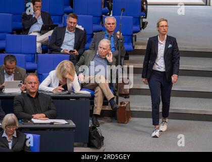 Dr Alice Weidel, à gauche, quatrième rangée : Dr Alexander Gauland, Allemagne, Berlin, 06.07.2023, Bundestag, Faction du Bundestag AfD Banque D'Images