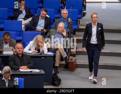 Dr Alice Weidel, à gauche, quatrième rangée : Dr Alexander Gauland, Allemagne, Berlin, 06.07.2023, Bundestag, Faction du Bundestag AfD Banque D'Images