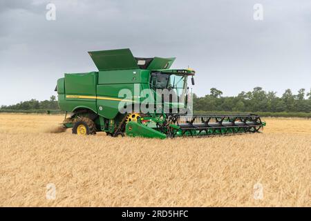 Barholm, Lincolnshire, Royaume-Uni. 18 juillet 2023 esquiver les tempêtes de pluie Henry Hirst Farms récolte l'orge d'hiver LG Mountain à 17% d'humidité près de Barholm, Lincolnshire, de fortes pluies ont continué à entraver la récolte dans les East Midlands Credit : Tim Scrivener/Alamy Live News Banque D'Images