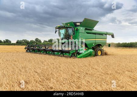 Barholm, Lincolnshire, Royaume-Uni. 18 juillet 2023 esquiver les tempêtes de pluie Henry Hirst Farms récolte l'orge d'hiver LG Mountain à 17% d'humidité près de Barholm, Lincolnshire, de fortes pluies ont continué à entraver la récolte dans les East Midlands Credit : Tim Scrivener/Alamy Live News Banque D'Images