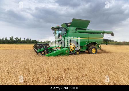 Barholm, Lincolnshire, Royaume-Uni. 18 juillet 2023 esquiver les tempêtes de pluie Henry Hirst Farms récolte l'orge d'hiver LG Mountain à 17% d'humidité près de Barholm, Lincolnshire, de fortes pluies ont continué à entraver la récolte dans les East Midlands Credit : Tim Scrivener/Alamy Live News Banque D'Images
