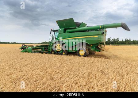Barholm, Lincolnshire, Royaume-Uni. 18 juillet 2023 esquiver les tempêtes de pluie Henry Hirst Farms récolte l'orge d'hiver LG Mountain à 17% d'humidité près de Barholm, Lincolnshire, de fortes pluies ont continué à entraver la récolte dans les East Midlands Credit : Tim Scrivener/Alamy Live News Banque D'Images