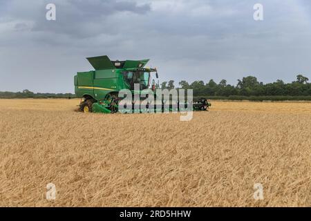 Barholm, Lincolnshire, Royaume-Uni. 18 juillet 2023 esquiver les tempêtes de pluie Henry Hirst Farms récolte l'orge d'hiver LG Mountain à 17% d'humidité près de Barholm, Lincolnshire, de fortes pluies ont continué à entraver la récolte dans les East Midlands Credit : Tim Scrivener/Alamy Live News Banque D'Images