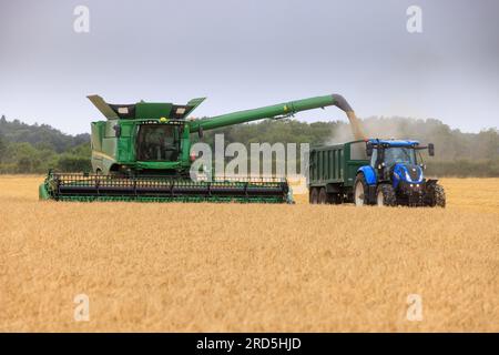 Barholm, Lincolnshire, Royaume-Uni. 18 juillet 2023 esquiver les tempêtes de pluie Henry Hirst Farms récolte l'orge d'hiver LG Mountain à 17% d'humidité près de Barholm, Lincolnshire, de fortes pluies ont continué à entraver la récolte dans les East Midlands Credit : Tim Scrivener/Alamy Live News Banque D'Images
