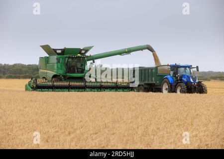 Barholm, Lincolnshire, Royaume-Uni. 18 juillet 2023 esquiver les tempêtes de pluie Henry Hirst Farms récolte l'orge d'hiver LG Mountain à 17% d'humidité près de Barholm, Lincolnshire, de fortes pluies ont continué à entraver la récolte dans les East Midlands Credit : Tim Scrivener/Alamy Live News Banque D'Images