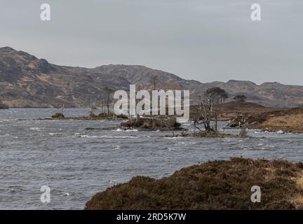 Paysage écossais austère d'un loch avec de petites îles sur une journée venteuse avec un ciel orageux de surcaste Banque D'Images