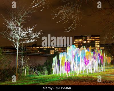 Installation de lumières artistiques pendant le festival des lumières, Amsterdam, pays-Bas Banque D'Images