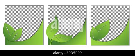 Ensemble de bannières simples avec espace libre, mise en page, maquette, mocap, modèle à vendre et publicité avec place pour le texte, espace de copie. Éléments de conception Illustration de Vecteur