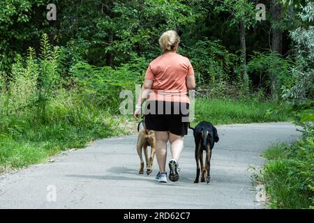 Une femme caucasienne adulte en tenue d'été promène deux chiens sur un chemin naturel à Wichita, Kansas, USA. Banque D'Images