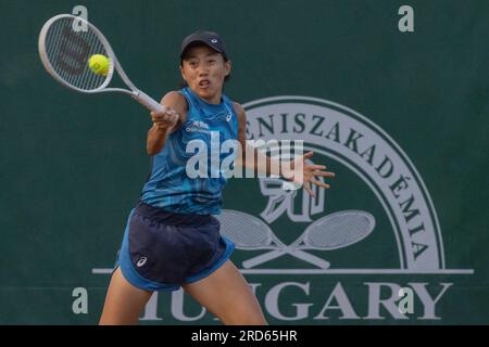 Budapest. 18 juillet 2023. Zhang Shuai, de Chine, concourt lors du match en simple féminin de 32 entre Amarissa Toth, de Hongrie, et Zhang Shuai, de Chine, au Grand Prix de Hongrie WTA 250 à Budapest, Hongrie, le 18 juillet 2023. Crédit : Attila Volgyi/Xinhua/Alamy Live News Banque D'Images