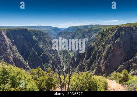 Black Canyon de la nature sauvage de Gunnison dans le Colorado Banque D'Images