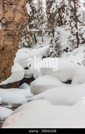 Sortie raquette dans la vallée de Lamar dans le parc national de Yelllowstone. Banque D'Images