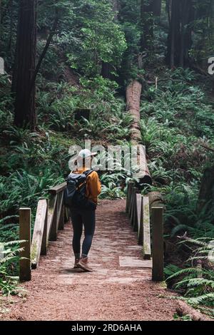 Femme avec un sac à dos debout près du pont en bois dans le parc avec des séquoias et des plantes de fougères, randonnée à l'extérieur Banque D'Images