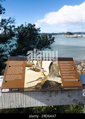 Paihia, Nouvelle-Zélande - 1 juillet 2023 : un panneau d'information éduquant les visiteurs sur le noeud rouge (Huahou), un oiseau de rivage de taille moyenne. Banque D'Images