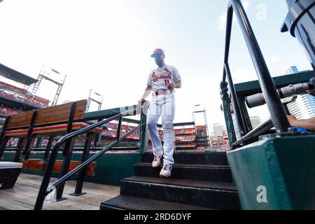 St. Paul DeJong (11), court-circuit Louis Cardinals, entre dans le pige avant un match de saison régulière de la MLB entre les Marlins de Miami et St. Louis Cardin Banque D'Images