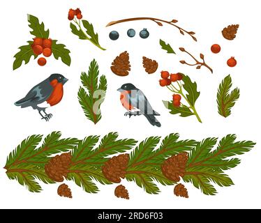 Bullfinches oiseaux et branche de pin avec cône Illustration de Vecteur