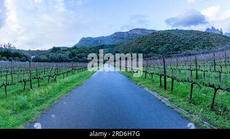 Vignobles de vin sur la vallée des terres agricoles à côté du terrain de haute montagne un paysage pittoresque. Banque D'Images
