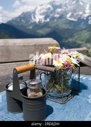 stand de cruet avec sel et poivre sur un pâturage alpin Banque D'Images