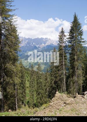 Alpes et au paysage alpin sur h ?Hochkoenig en été Autriche Europe Banque D'Images