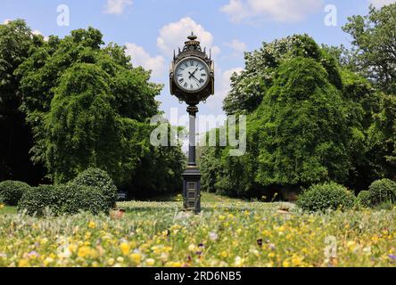 Cismigiu Gardens, vastes jardins de style anglais entourant un lac de navigation et le plus ancien et le plus grand parc de Bucarest, Roumanie Banque D'Images