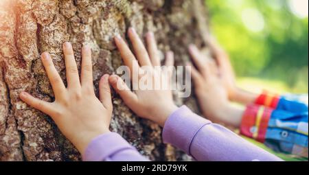 Les mains des enfants touchant le tronc d'arbre dans le parc naturel. Banque D'Images