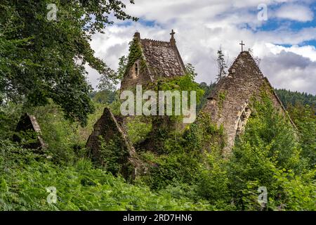 Ruine der Kirche St. Mary's im Wye Valley, Tintern, pays de Galles, Großbritannien, Europa | St. Ruines de l'église de Mary dans la vallée de Wye, Tintern, pays de Galles, Uni Banque D'Images