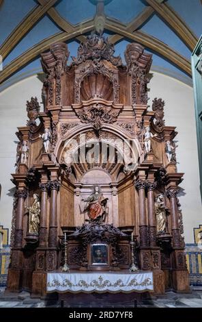 Evangéliste San Juan ou chapelle Sainte Anne, cathédrale de Lima, Pérou Banque D'Images