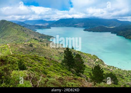 Vue sur le Kenepuru Sound depuis le Queen Charlotte Track, l'un des sentiers de randonnée les plus populaires de Nouvelle-Zélande, Marlborough Sounds South Island of Banque D'Images