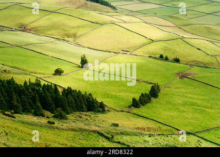 Vue panoramique aérienne sur les terres agricoles rurales traditionnelles de l'île de Terceira un jour ensoleillé d'été. Açores, Portugal. Terrain en vue aérienne. Inclure le terrain Banque D'Images