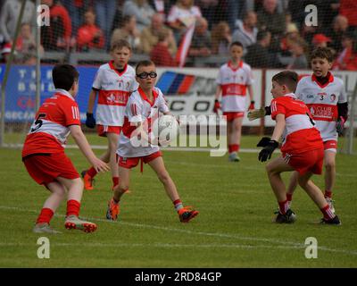 Des élèves de l'école primaire jouant au football gaélique au Owenbeg Centre of Excellence, comté de Derry. Photo : George Sweeney / Alamy stock photo Banque D'Images