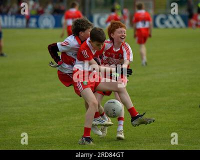 Des élèves de l'école primaire jouant au football gaélique au Owenbeg Centre of Excellence, comté de Derry. Photo : George Sweeney / Alamy stock photo Banque D'Images