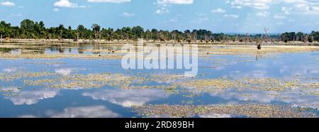 Image présentant un paysage avec des nuages blancs moelleux reflétés dans les eaux paisibles d'un étang cambodgien sous le soleil. Banque D'Images