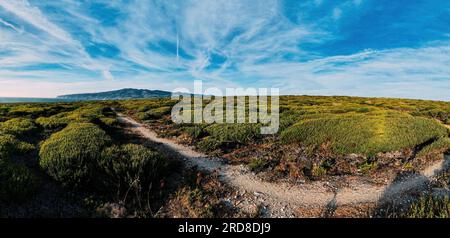 Drone aérien vue panoramique du parc national de Sintra, avec Cabo da Roca à l'extrême gauche, à côté de la plage de Guincho, Cascais, Portugal, Europe Banque D'Images