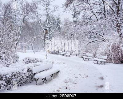 Saxon Garden, hiver, Varsovie, Voïvodie de Masovien, Pologne, Europe Banque D'Images