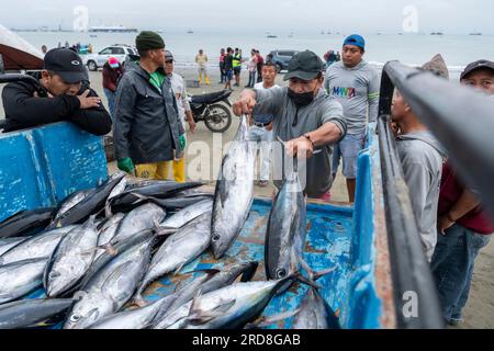 Marché aux poissons, Tarqui Beach, Manta, Manabi, Équateur, Amérique du Sud Banque D'Images