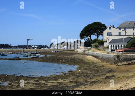 Marée basse du sentier côtier près de rue de Berder, Larmor Baden, vannes, Morbihan, Brittany, France Banque D'Images